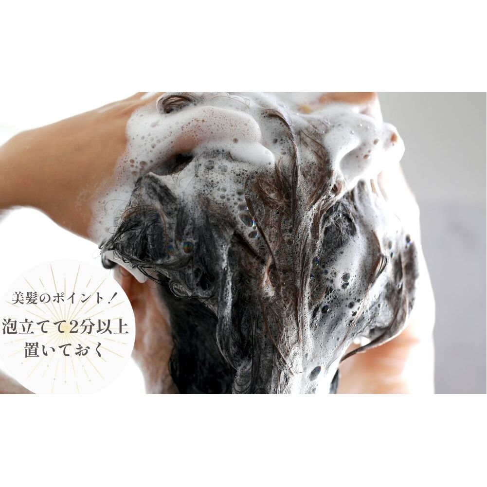 【定期便6回】大和当帰美人 髪だより EXTEシャンプー 詰め替え用 1000ml ／ふるさと納税 エクステ 大和当帰  ボトル メンズ 大容量 いい香り髪の美容液 髪整う 自然の力 頭皮 奈良県 宇