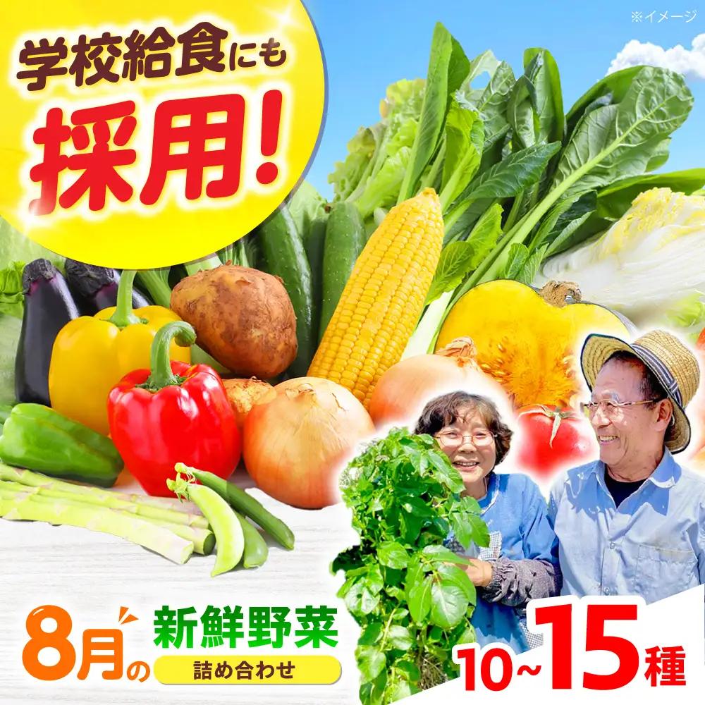 高槻野菜おまかせ詰め合わせセット 8月（10種〜15種）[AOCS014] 野菜セット