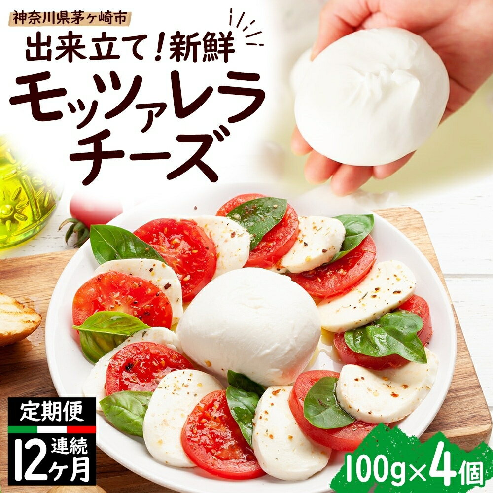 【ふるさと納税】 12ヶ月定期便 出来立て新鮮 モッツァレラチーズ100g × 4個セット 茅ケ崎産 加工食品 乳製品 チーズ 出来立て 神奈川県産 モッツァレラ 手作り Osteria e Bottega S 神奈川県 湘南 茅ケ崎 フレッシュチーズ おつまみ ピザ　定期便