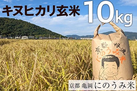 【令和7年産先行予約】米 キヌヒカリ 玄米 10kg〈アグリにのうみ〉米 米 米 米