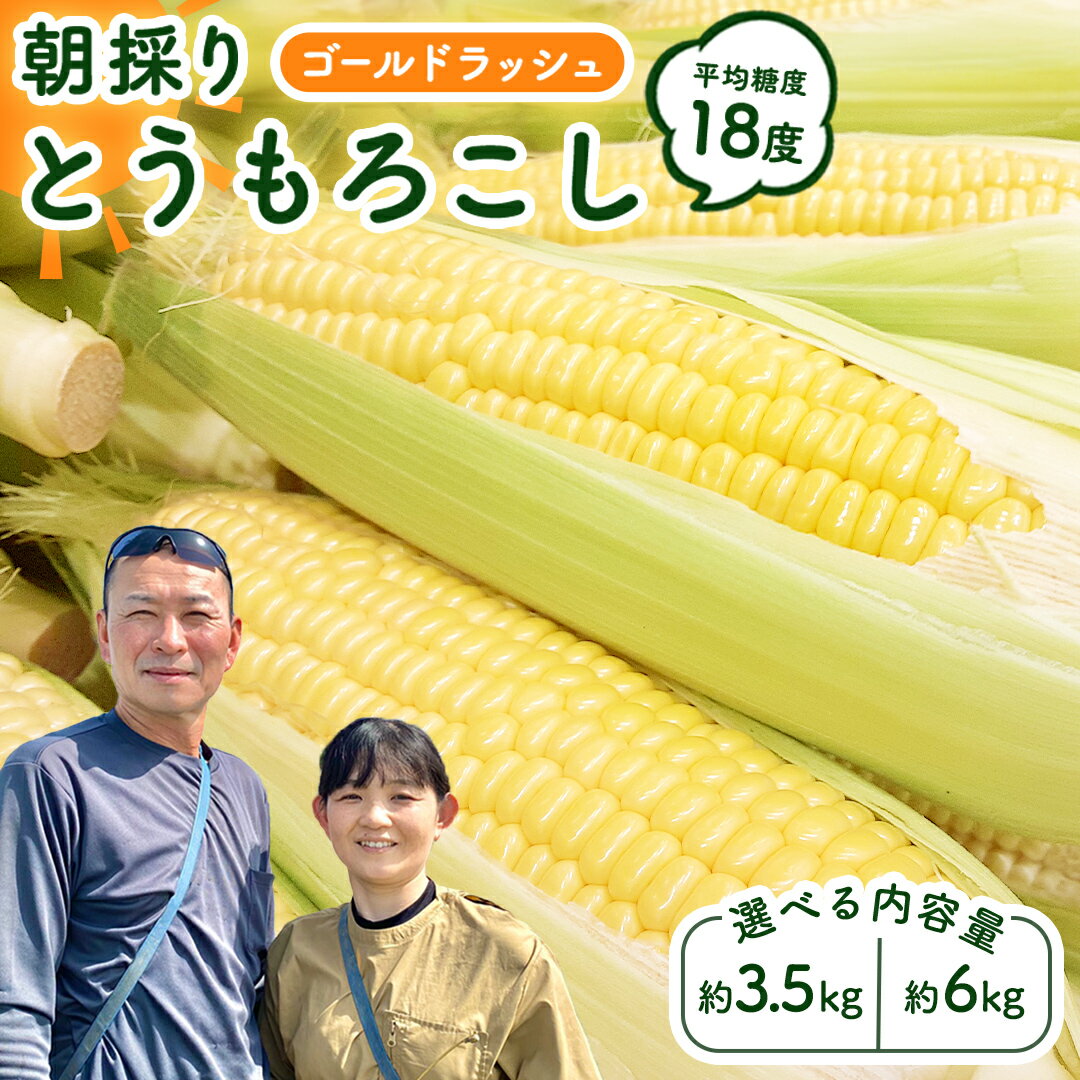 【ふるさと納税】【先行予約 令和7年 6月下旬 以降発送 】 朝採り とうもろこし （ ゴールドラッシュ ） 【 選べる内容量 】 トウモロコシ 朝採り 甘い 新鮮 6kg 3.5kg スイートコーン コーン 野菜 極甘 岩田さん 2025