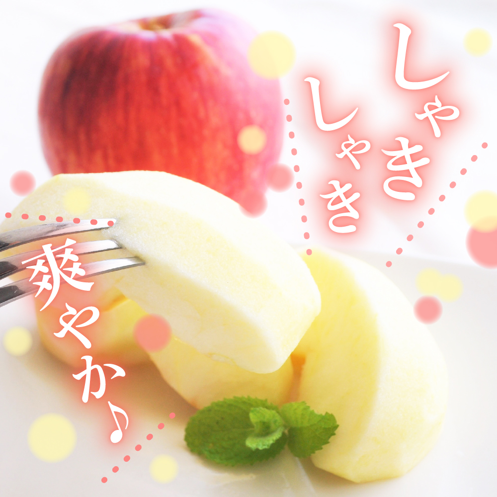 【2026年2月下旬発送】【訳あり】 りんご 3kg サンふじ 青森