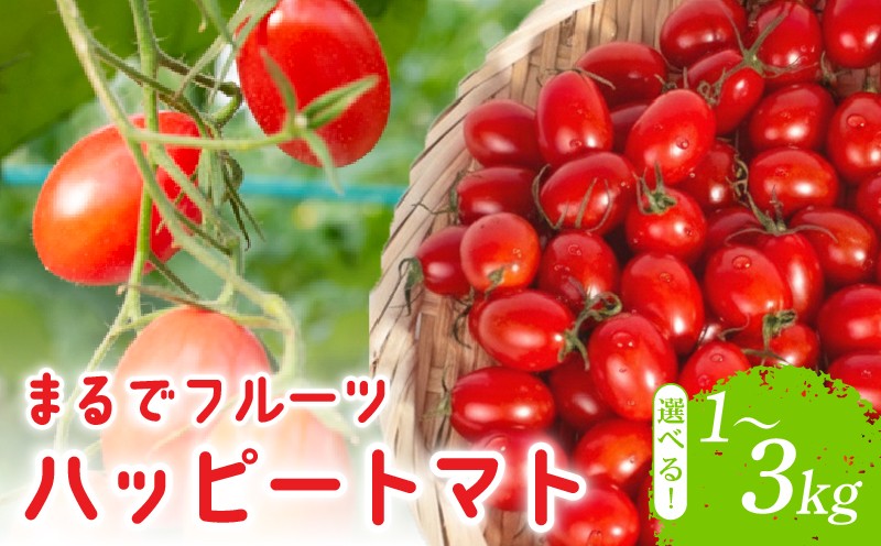 
                  【先行予約】 トマト 1kg 2kg 3kg 産地直送 ハッピートマト 野菜 完熟 トマト 人気 新鮮 高糖度 トマトジュース サラダ 惣菜 先行受付 甘い ミニトマト プチトマト tomato プチ 旬 国産 おかず リコピン ビタミン 美容 美肌 生野菜 フルーツトマト おすすめ 糖度9～12度 濃厚 酸味 パスタ スープ てんぷら 料理 ミネラル 農家直送 ギフト 常温配送 安芸市 高知県
                