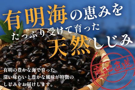 B-392 冷凍芝エビ1.5kg・冷凍シジミ1.5kg