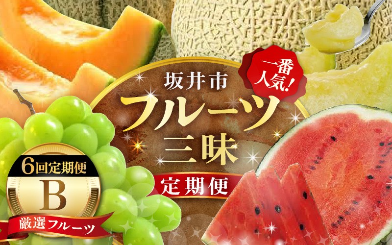 
                  【先行予約】 定期便 6回コース 坂井市フルーツ三昧！！定期便B【2027年6月上旬以降順次発送開始予定】 フルーツ 定期便 フルーツ定期便 くだもの 果物 旬のフルーツ定期便 フルーツ定期便 お楽しみ アンデスメロン すいか スイカ マルセイユメロン シャインマスカット アールスメロン 6回 [J-3223]
                