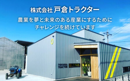 【先行予約/10月より順発送】 【令和7年度産 新米 】にこまる 米 白米 5kg 愛西市 / 戸倉トラクター [AECS055]