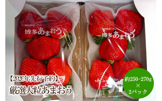 【2026年先行予約】厳選大粒あまおう(約250-270gx2パック)【044-0070】