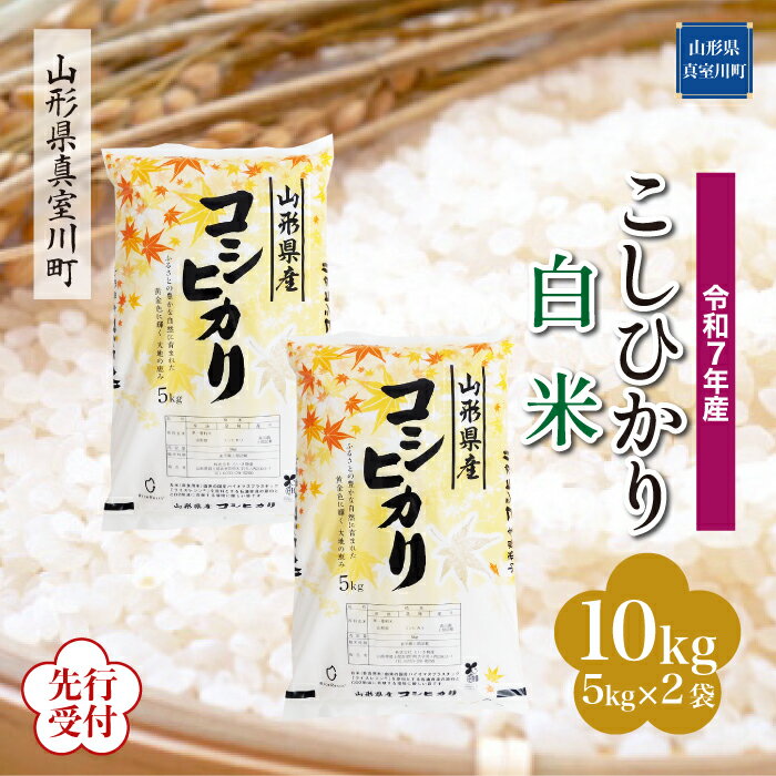 【ふるさと納税】 ※先行受付※ 令和7年産 真室川町厳選 コシヒカリ ［白米］ 10kg（5kg×2袋）