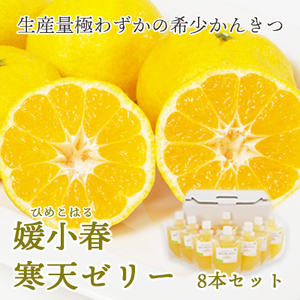 愛媛でしか栽培できない希少柑橘 媛小春(ひめこはる)寒天ゼリー8本セット 【C25-82】【1305617】 YWTAP043