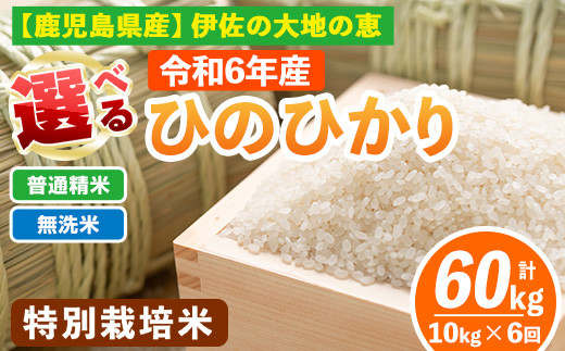 
isa517 【定期便6回】 選べる精米方法！令和6年産 鹿児島県伊佐産 特別栽培ひのひかり(計60kg・10kg×6ヵ月) 国産 白米 精米 無洗米 伊佐米 お米 米 生産者 ひのひかり 定期便 新米【Farm-K】
