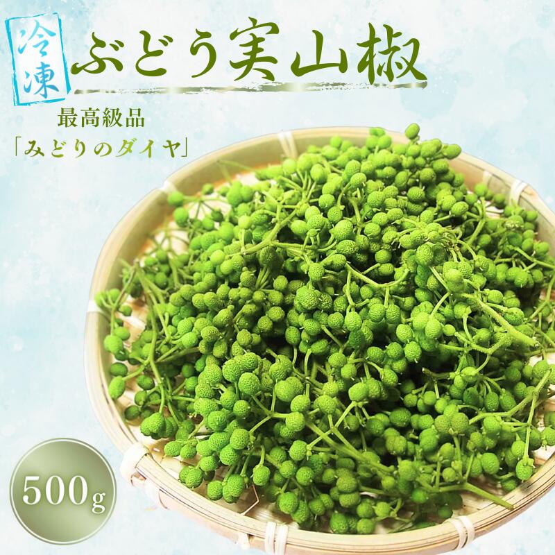 【ふるさと納税】 山椒 冷凍 ぶどう生実山椒 500g 《 レビューキャンペーン 実施中 ! 》/ 山椒 野菜 冷凍 香辛料 調味料 スパイス 青実山椒 冷凍便