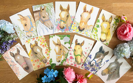 馬のまち栗東 馬と花のステーショナリーセット / 競馬 馬 競走馬 雑貨 クリアファイル メモ 文房具 ポストカード 栗東市 / nashira (nashira picture of horse) 
