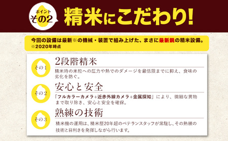 【6ヶ月定期便】 無洗米 ひのくに米 5kg 《お申込み月の翌月から出荷開始》 食品 米 こめ コメ 熊本県産 ふるさと納税 お米 おこめ 熊本