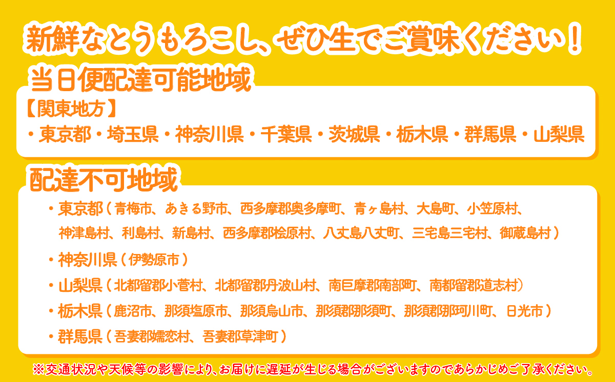 【関東＋山梨県限定 当日便】【先行予約 2026年6月中旬以降発送 】 【 令和8年産 】深夜採り 朝出荷 とうもろこし （ ゴールドラッシュ ） 約6kg トウモロコシ 深夜採り 甘い 新鮮 スイー