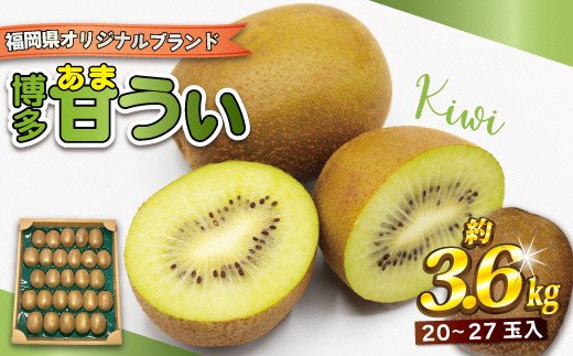 【2024年収穫分】福岡県ブランド！キウイフルーツ「博多甘うぃ」1箱約3.6kg【ほたるの里】_HA0434