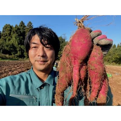 ふるさと納税 能登町 旬まるかじり!さつまいもスティック |  | 02