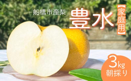 【2025年産先行予約】＜家庭用＞果汁たっぷりの極上梨「豊水・3kg」6～9玉 千葉県 船橋市産