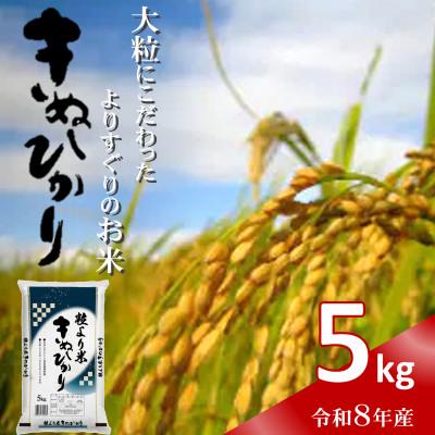 ふるさと納税 日高町 令和8年産(2026年産)　粒より米「 きぬひかり 」精米 5kg　