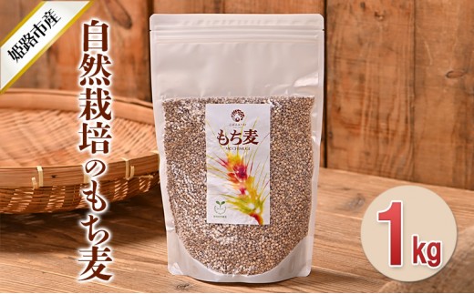 
            [№5258-0928]自然栽培のもち麦（ダイシモチ）1kg お米 
          