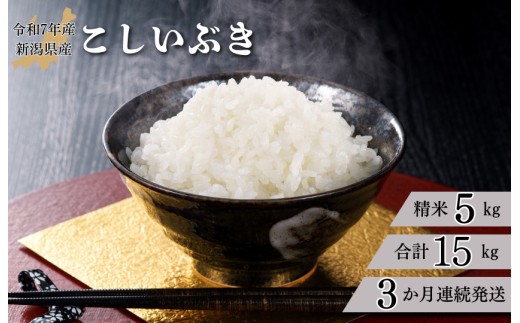 
                  【3か月定期便】R7年産 新潟県産 こしいぶき 5kg （精米） 米 お米 白米 おすすめ 人気 こめ コメ 新潟 見附 見附市 7年 2025年産 ふるさと納税
                