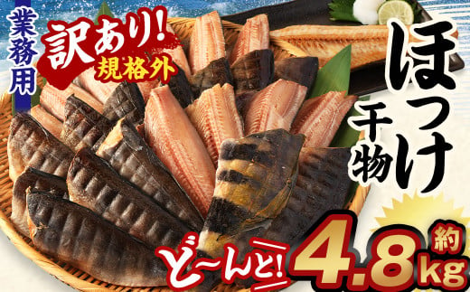 【訳あり規格外】  業務用 ほっけ干物  どーんと! 4.8kg 干物 ホッケ 縞ほっけ ほっけ