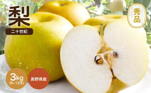 滴る程にジューシーな梨 長野県産　なし(二十世紀) 約3kg 秀品〈2026年9月上旬～9月末発送〉