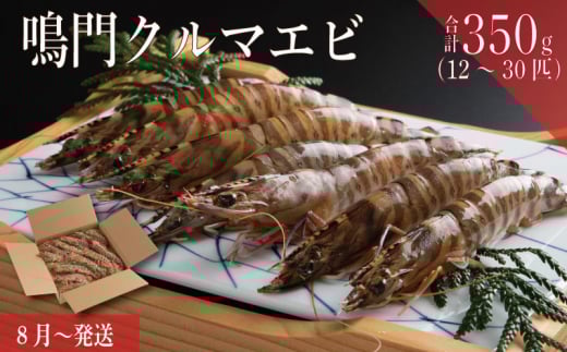 鳴門クルマエビ【350g】2025年8月から翌年1月10日まで発送