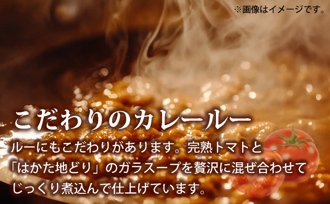 はかた地どり⼿⽻元カレー（レトルト） 5袋