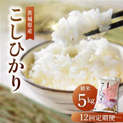ふるさと納税 かすみがうら市 【毎月定期便】茨城県産 コシヒカリ 精米5kg | こしひかり 茨城県かすみがうら市全12回