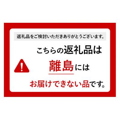 ふるさと納税 沼田市 りんごチャイ(3g×10包) 2袋 タグひも付きティーバッグタイプ |  | 01