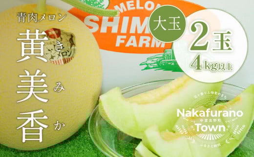 【2026年発送】中富良野産黄美香（青肉）メロン2玉　計4kg以上