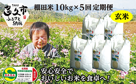 【定期便 全5回】【令和8年産 新米】しょうちゃんの棚田米 夢しずく 玄米 10kg×5回 合計50kg 佐賀県産 米 栽培期間中農薬・化学肥料不使用 _l-2