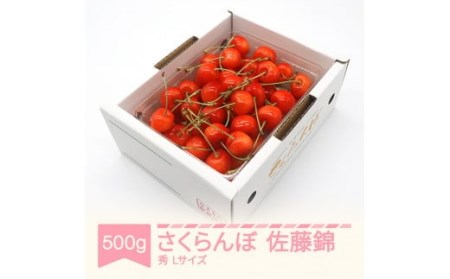 さくらんぼ 佐藤錦 秀品 L玉 500g バラ詰 ご家庭用 2025年産 令和7年産 山形県産 mm-snbax500 ※沖縄・離島への配送不可