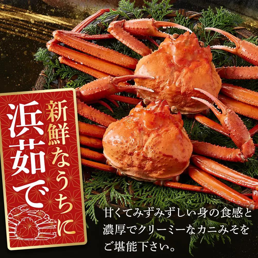 ＜火～木着※指定日不可＞＜7月～9月上旬発送不可＞浜茹ベニズワイガニ足欠(2枚/計約800g以上)