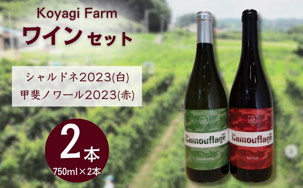 ワイン 2本セット 甲斐ノワール2023 (赤) ＋ シャルドネ2023 (白)【110076-002-04】