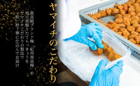 香梅漬　中粒1㎏（ポリ容器入り）
