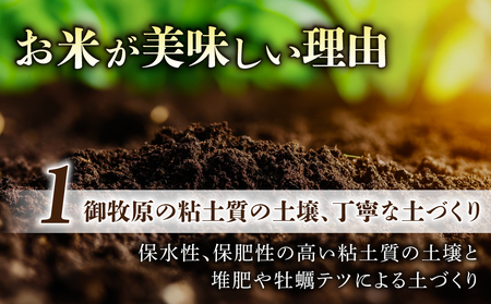 【先行受付2026年発送】長野県産！生きた土壌で育った御牧原米こしひかり 玄米（令和8年産）　5kg｜里山JAPAN　※2026年10月上旬以降に発送予定