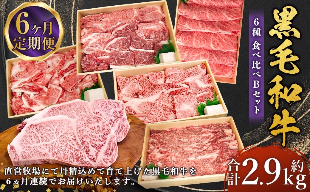 
            【6回定期便】牛肉 兵庫県産 黒毛和牛 6種 食べ比べ B 肉 ニク にく 牛
          