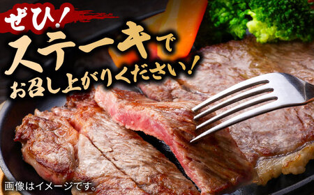 【全3回定期便】佐賀牛サーロインステーキ 計1.5kg（250g×2枚×3回） / 佐賀県 / ヤマサン食品 [41ADAA008]