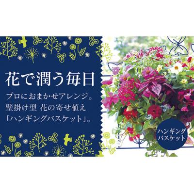 ふるさと納税 山口市 花うるる特製アレンジ・おまかせハンギングバスケット〜Mサイズ　C053 | 