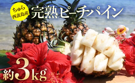 2025年 先行予約 ピーチパイン 約3kg 3玉～4玉 ちゅら西表島産!! ゆたか農園 完熟 パイン 果物 フルーツ パイナップル