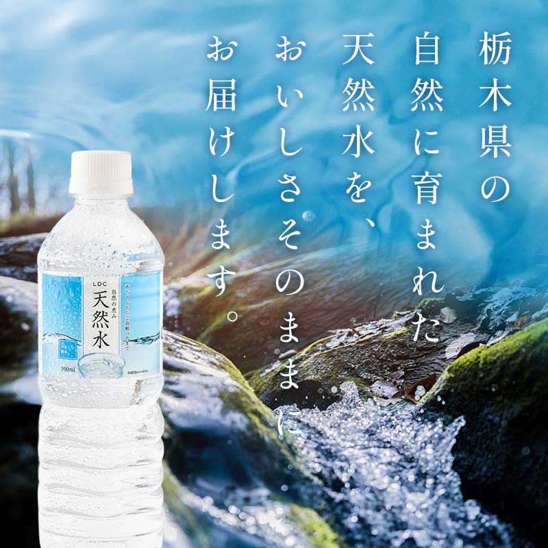 【3回定期便】 水 ミネラルウォーター 天然水 500ml 48本 お水 飲料水 軟水で飲みやすい 備蓄品としてもオススメ F7Z-418