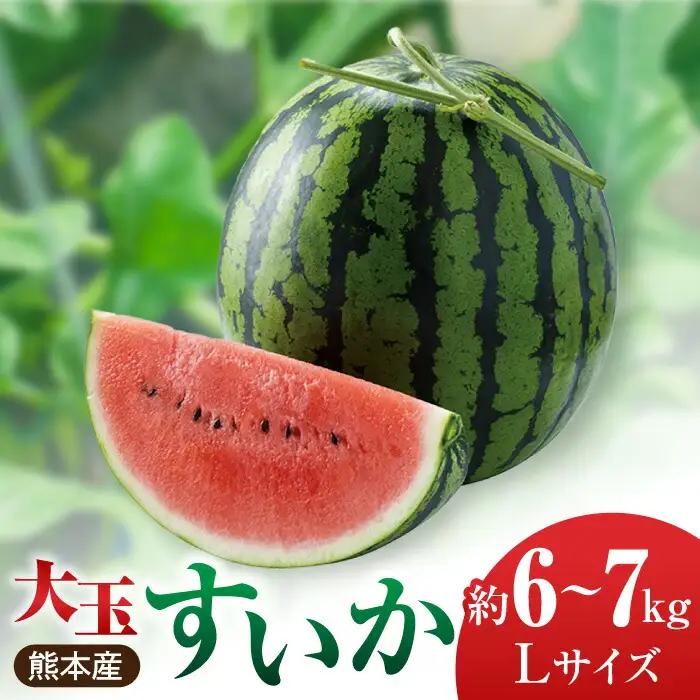 熊本スイカ先行予約 大玉すいかLサイズ西瓜スイカZCM001