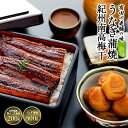 【ふるさと納税】うなぎ蒲焼 4尾 合計 500g 紀州南高梅干 200g うす塩味 塩分10％ セット | うなぎ 蒲焼 南高梅 梅干し 梅干 セット ひつまぶし どんぶり 丼 和歌山 和歌山県 有田 有田川 時短 総菜 お手軽 冷蔵 鰻 魚介類 水産 食品 人気 おすすめ 送料無料