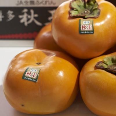 ふるさと納税 篠栗町 【先行受付】福岡産(柿)秋王(あきおう)約1.5kg箱(4-6玉)(篠栗町) |  | 01