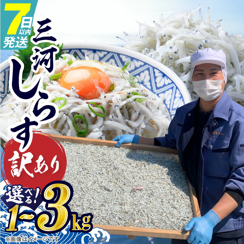 【ふるさと納税】訳あり しらす干し 選べる 容量 1kg 2kg 3kg 国産 三河しらす 釜茹で 国産 新鮮 しらす サイズ 不揃い 混ざりしらす 塩分控えめ ごはんのお供 しらす丼 しらすトースト 冷凍 海産物 お取り寄せ グルメ 愛知県 碧南市 送料無料