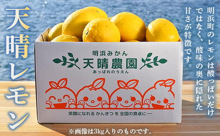 ＜天晴レモン 贈答用 約2kg＞ フルーツ 果物 くだもの レモン れもん 檸檬 柑橘 プレゼント 贈り物 お返し お礼 ギフト アレンジ 料理 国産 国産レモン 愛媛県産 特産品 株式会社笑丸 愛媛