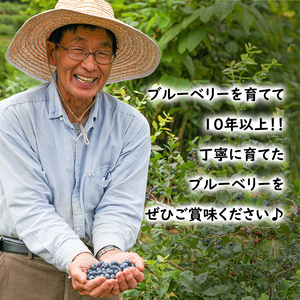 冷凍 ブルーベリー 400g (400g×1パック) 北海道産 フルーツ 果物