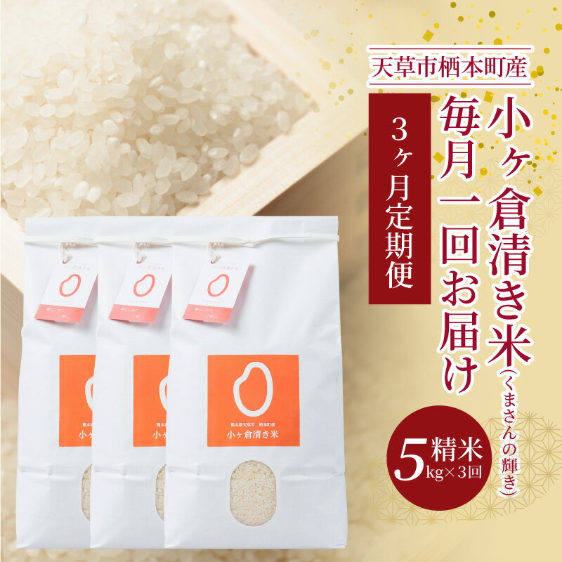 【ふるさと納税】米 定期便 くまさんの輝き 小ヶ倉清き米 5kg 3ヶ月 精米 白米 ごはん おにぎり おべんとう 米作り 輝き 粘り 旨味 熊本県 天草 栖本町 お取り寄せ 食品 九州 故郷の味 常温 送料無料