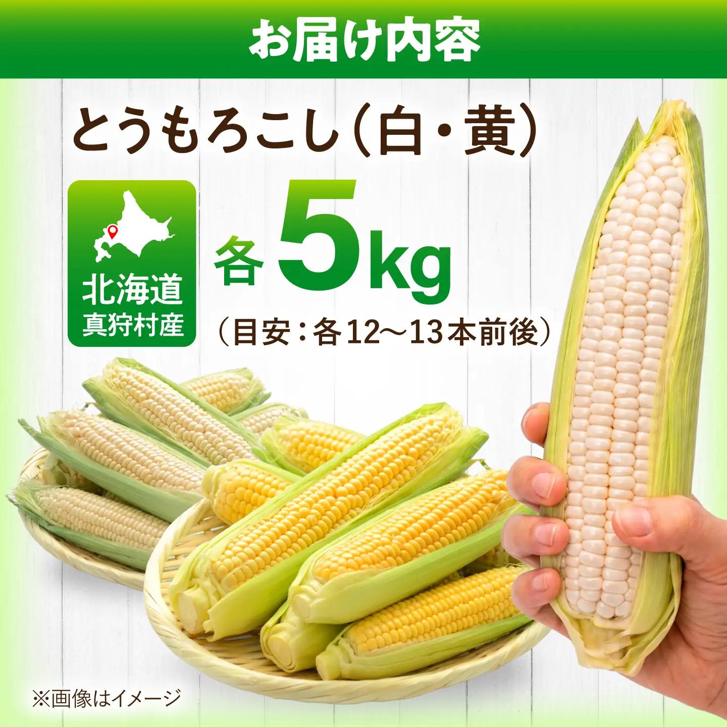 【先行予約】とうもろこし（白・黄） 各5kg [BPAM019] とうもろこし
